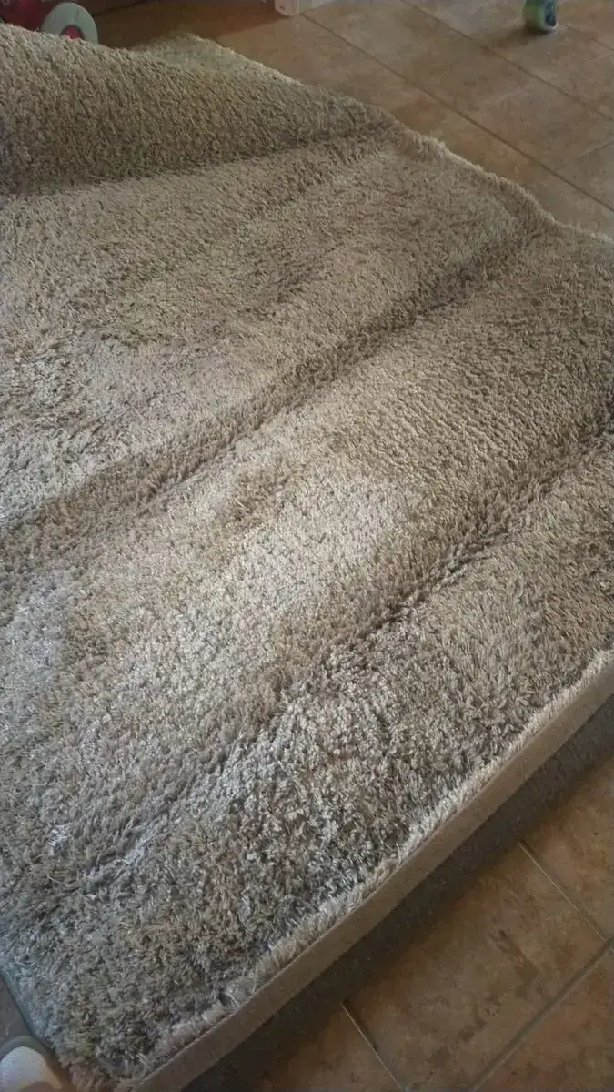 Desinfección de tapicería a domicilio en Pamplona, Navarra