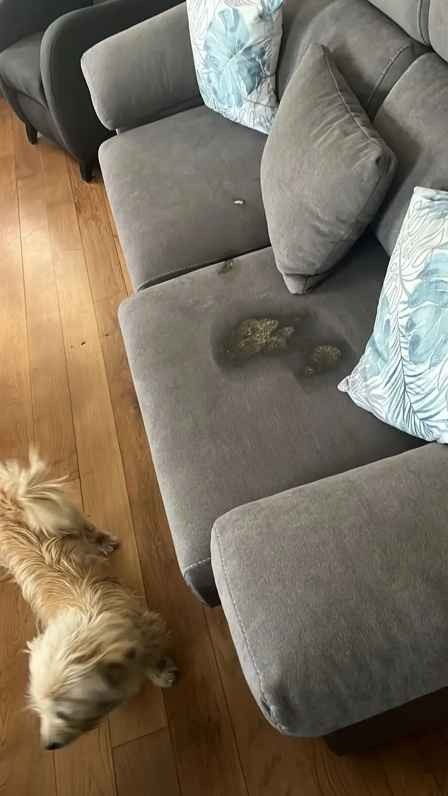 Sofá con manchas antes del servicio de desinfección a domicilio en Navarra